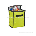 Picnic Lunch Bag Folded Bag Travel Cooler Bag